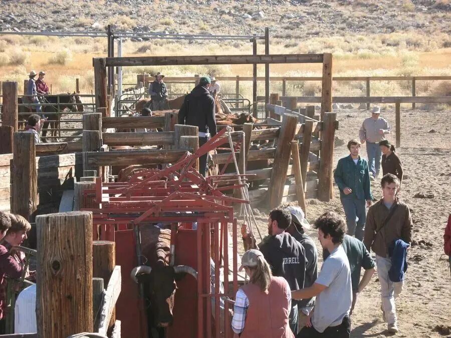 这些不参与U.S.News排名的大学,竟是隐藏的宝藏校! 数据 第8张 这些不参与U.S.News排名的大学,竟是隐藏的宝藏校! 数据 第8张